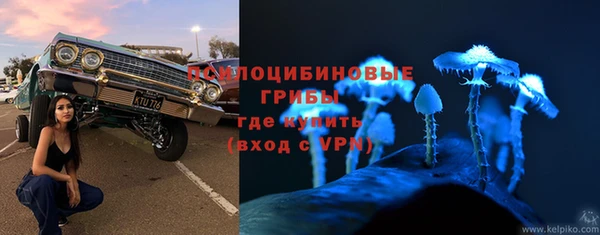 apvp Балабаново